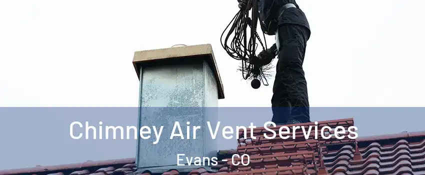  Chimney Air Vent Services Evans - CO