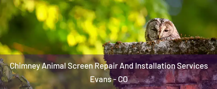  Chimney Animal Screen Repair And Installation Services Evans - CO