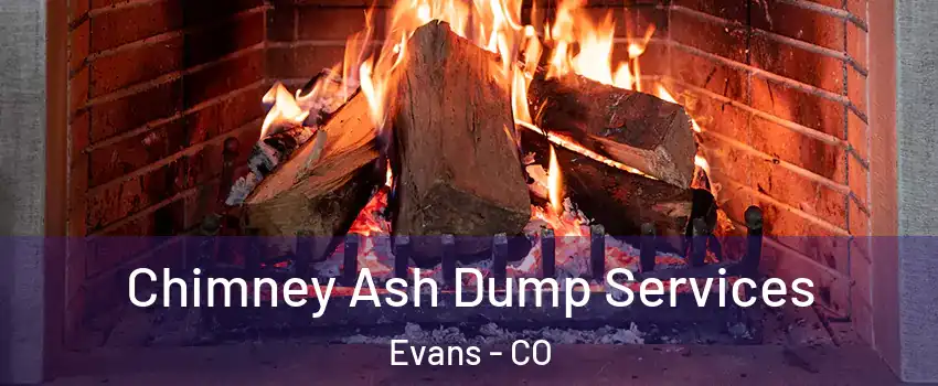  Chimney Ash Dump Services Evans - CO