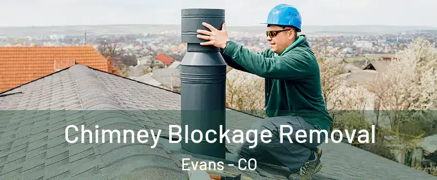  Chimney Blockage Removal Evans - CO