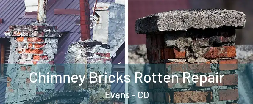  Chimney Bricks Rotten Repair Evans - CO