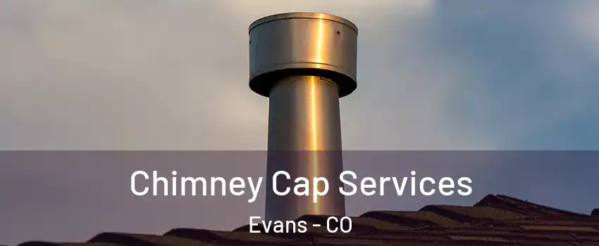  Chimney Cap Services Evans - CO