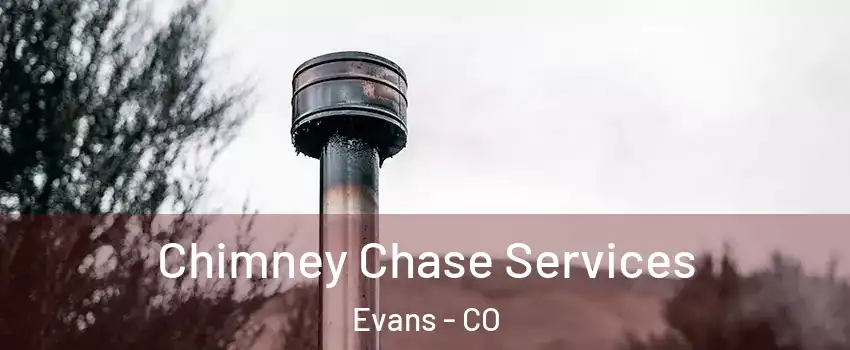  Chimney Chase Services Evans - CO