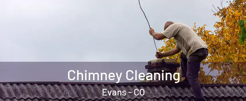  Chimney Cleaning Evans - CO
