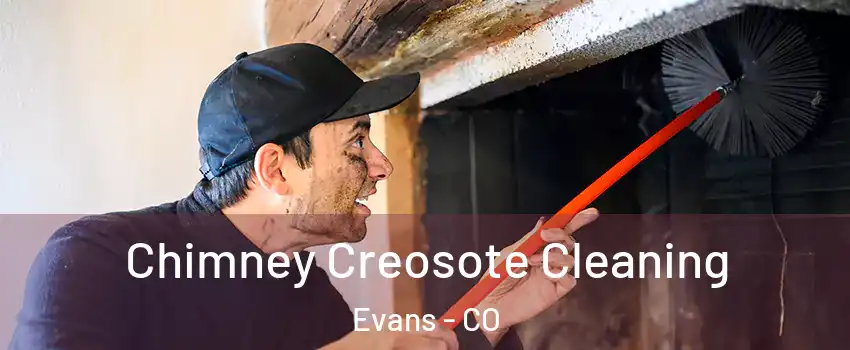  Chimney Creosote Cleaning Evans - CO