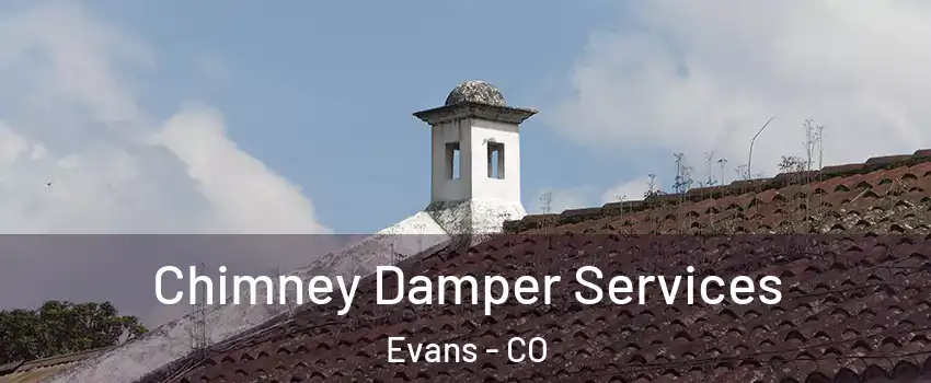  Chimney Damper Services Evans - CO