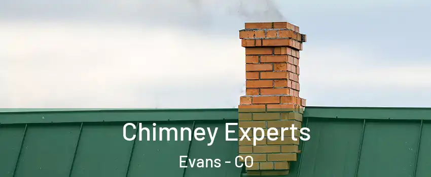  Chimney Experts Evans - CO
