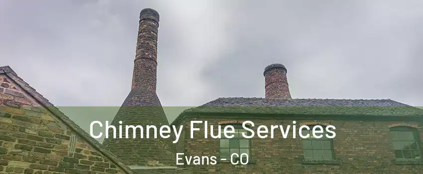  Chimney Flue Services Evans - CO