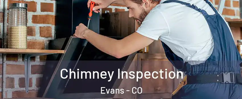  Chimney Inspection Evans - CO