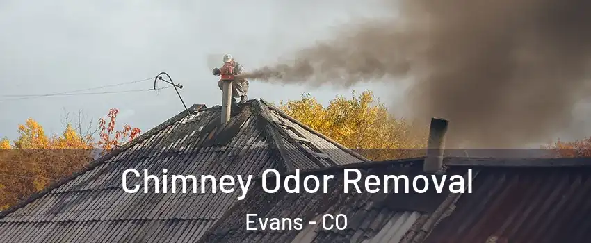  Chimney Odor Removal Evans - CO