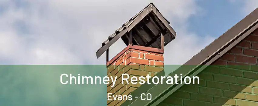  Chimney Restoration Evans - CO