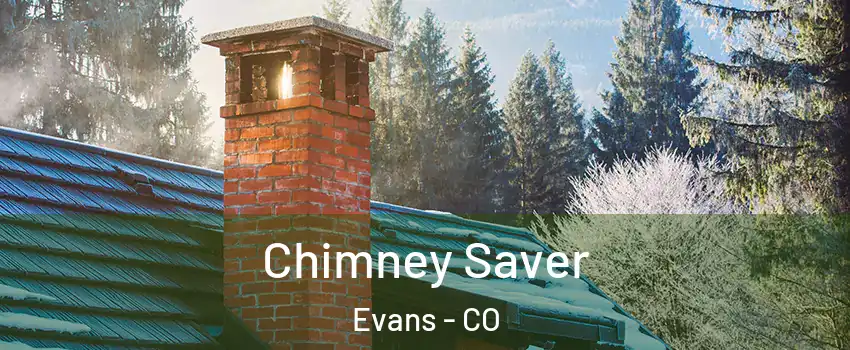  Chimney Saver Evans - CO