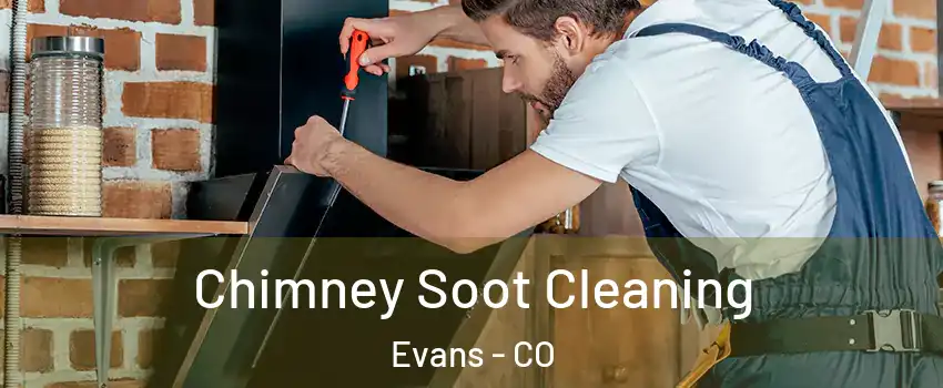  Chimney Soot Cleaning Evans - CO