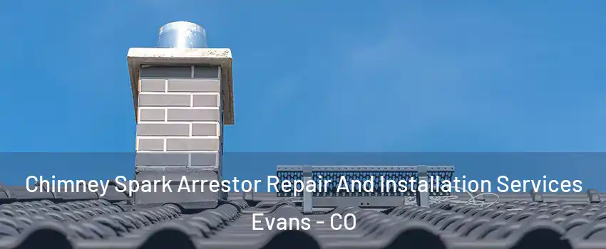  Chimney Spark Arrestor Repair And Installation Services Evans - CO