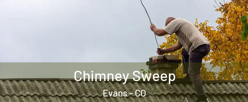  Chimney Sweep Evans - CO