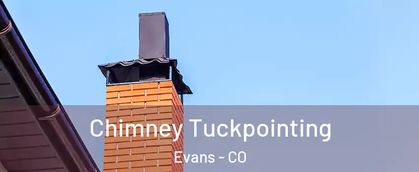  Chimney Tuckpointing Evans - CO