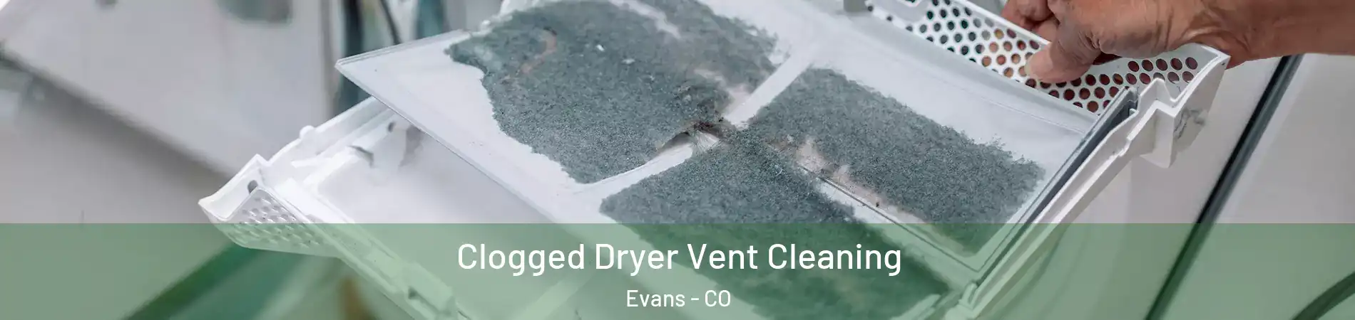  Clogged Dryer Vent Cleaning Evans - CO