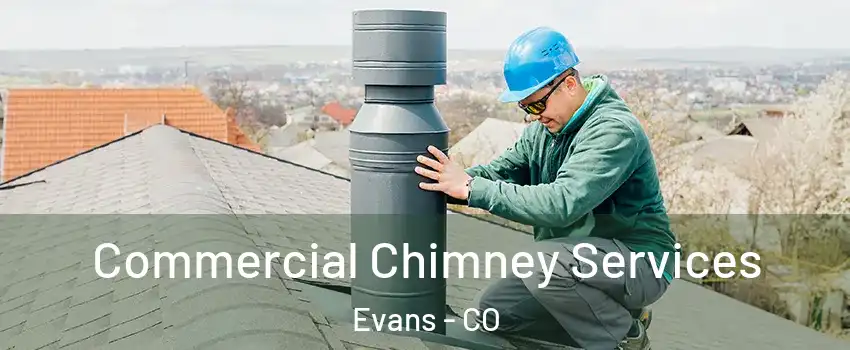  Commercial Chimney Services Evans - CO