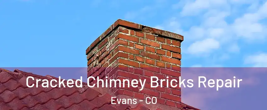  Cracked Chimney Bricks Repair Evans - CO