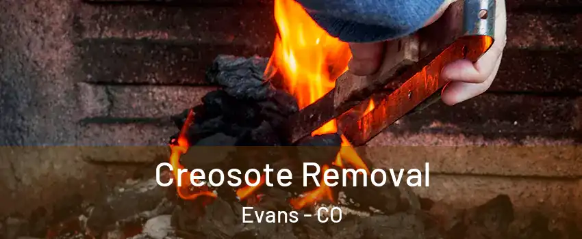  Creosote Removal Evans - CO