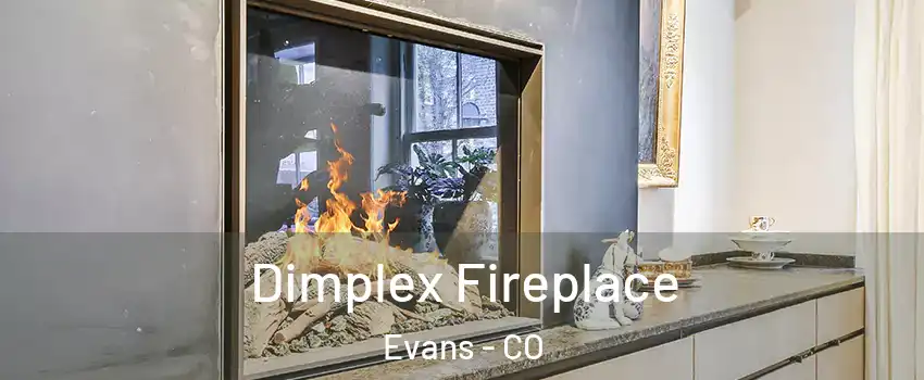  Dimplex Fireplace Evans - CO