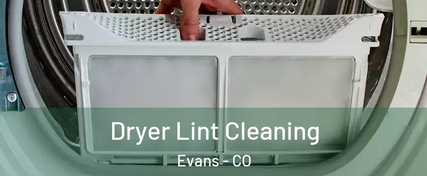  Dryer Lint Cleaning Evans - CO