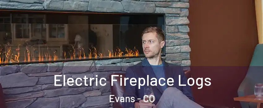  Electric Fireplace Logs Evans - CO