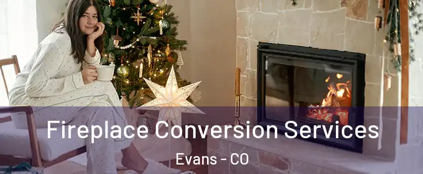  Fireplace Conversion Services Evans - CO