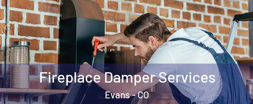  Fireplace Damper Services Evans - CO