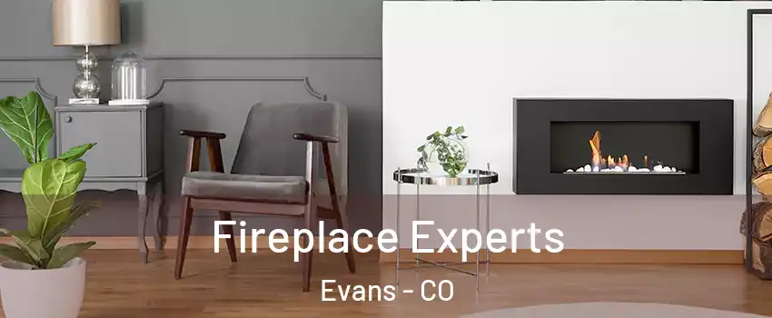  Fireplace Experts Evans - CO