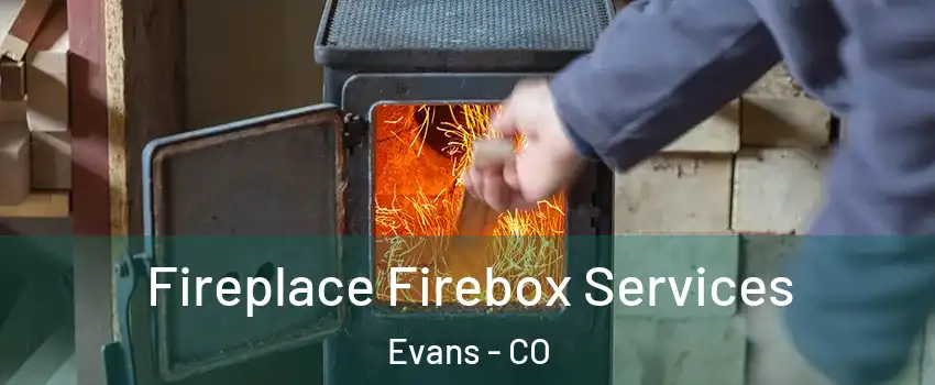  Fireplace Firebox Services Evans - CO
