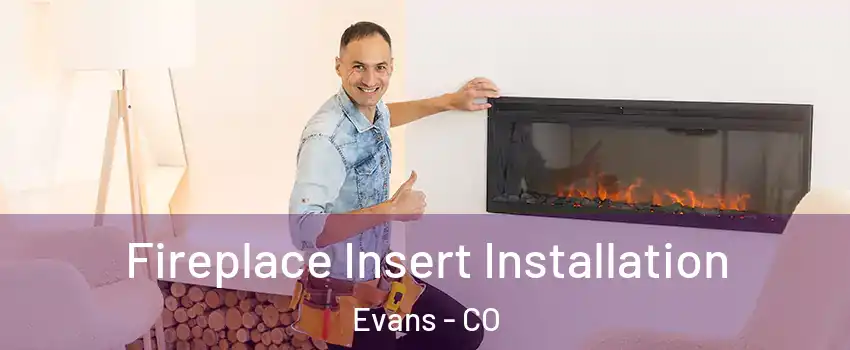  Fireplace Insert Installation Evans - CO
