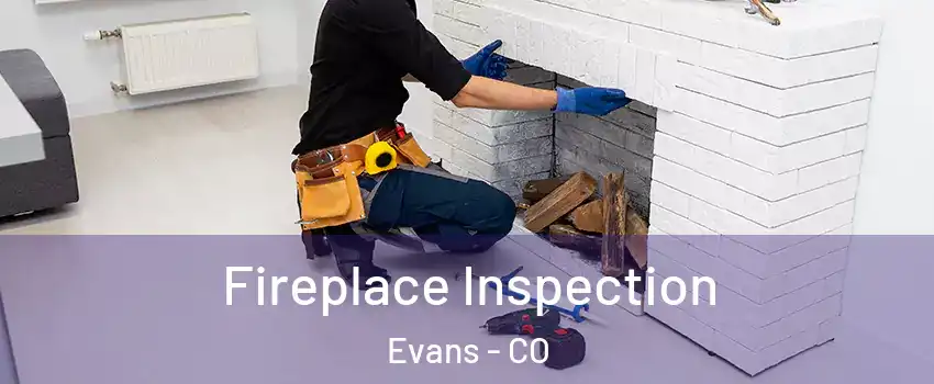  Fireplace Inspection Evans - CO