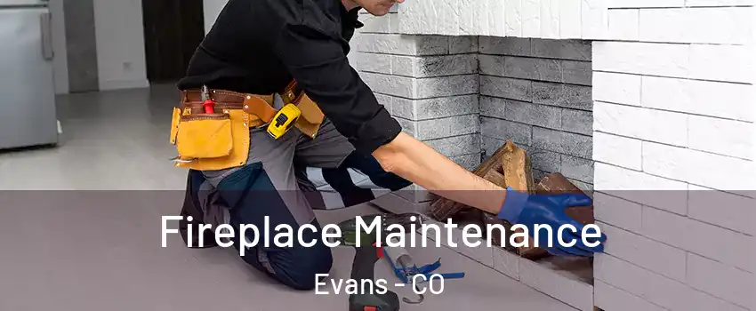 Fireplace Maintenance Evans - CO