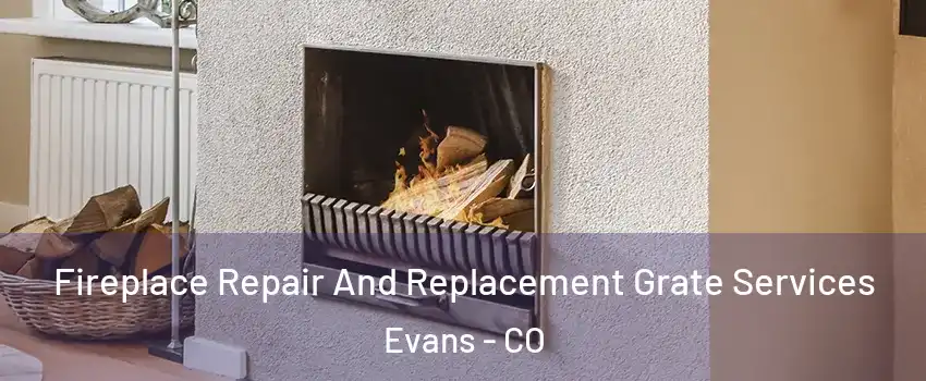  Fireplace Repair And Replacement Grate Services Evans - CO