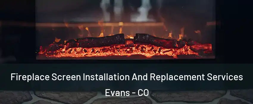  Fireplace Screen Installation And Replacement Services Evans - CO