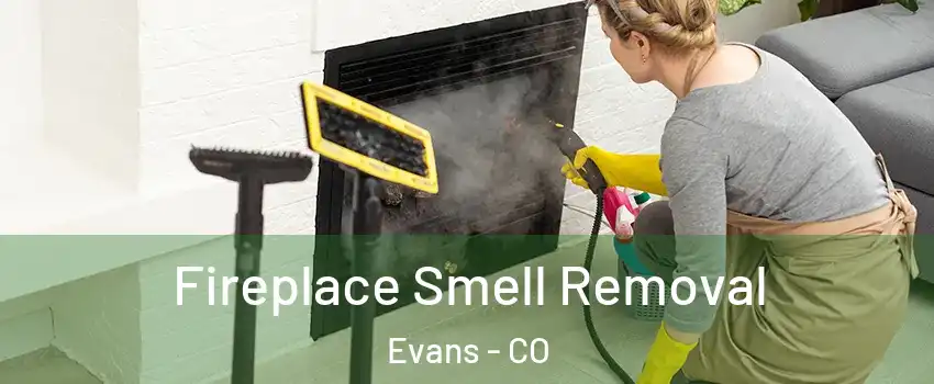  Fireplace Smell Removal Evans - CO