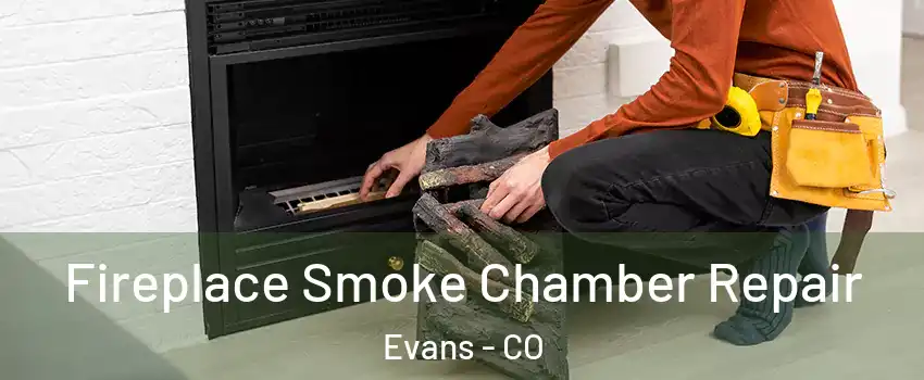  Fireplace Smoke Chamber Repair Evans - CO