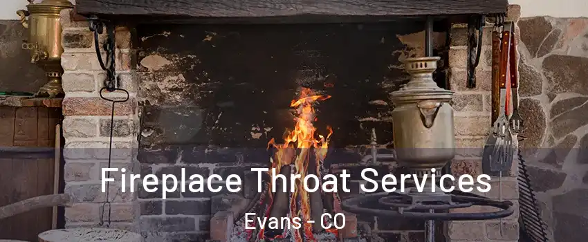  Fireplace Throat Services Evans - CO