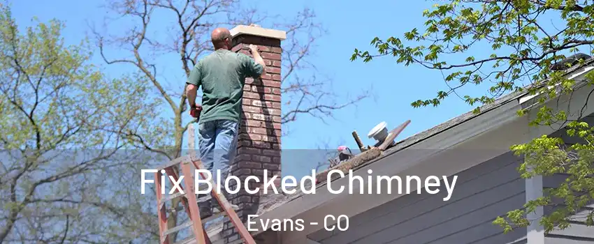 Fix Blocked Chimney Evans - CO