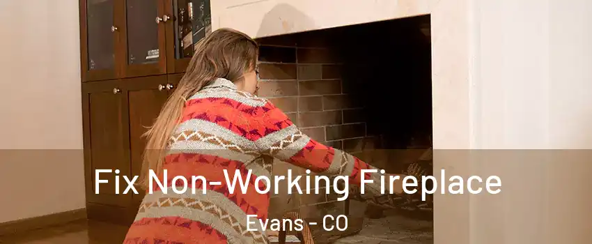  Fix Non-Working Fireplace Evans - CO
