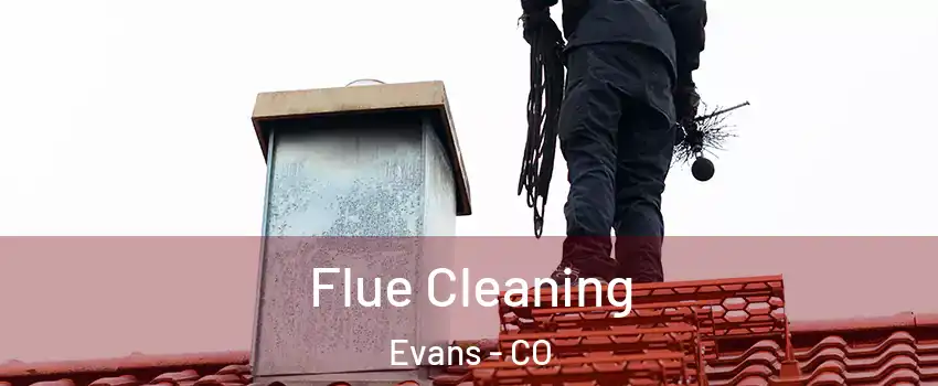  Flue Cleaning Evans - CO