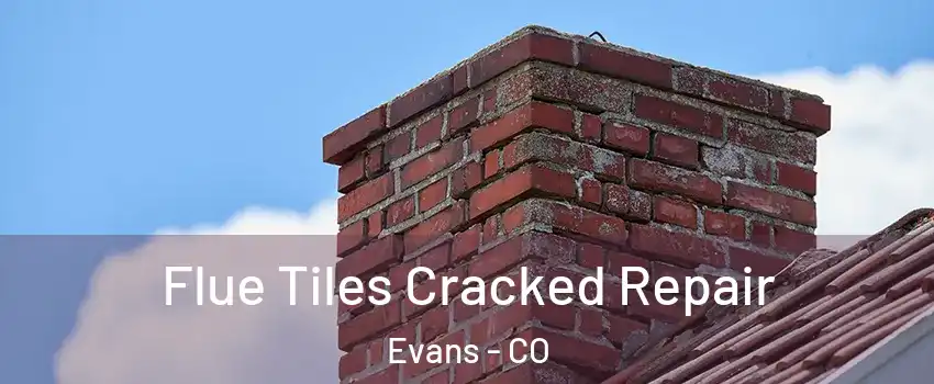  Flue Tiles Cracked Repair Evans - CO