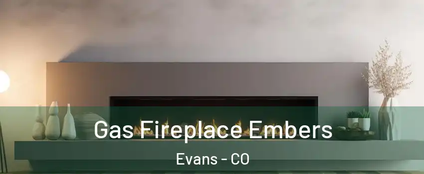  Gas Fireplace Embers Evans - CO