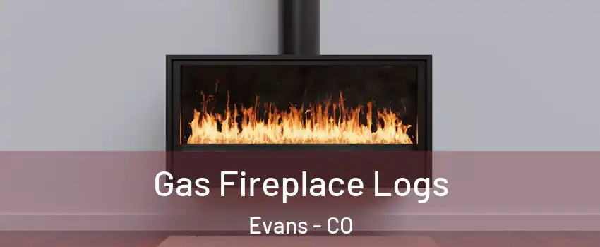  Gas Fireplace Logs Evans - CO