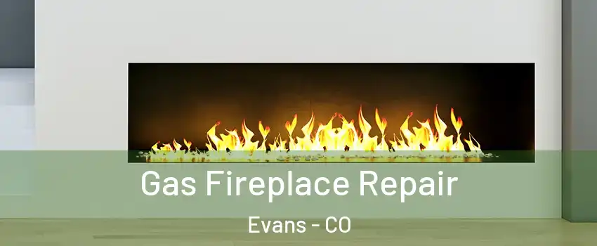  Gas Fireplace Repair Evans - CO