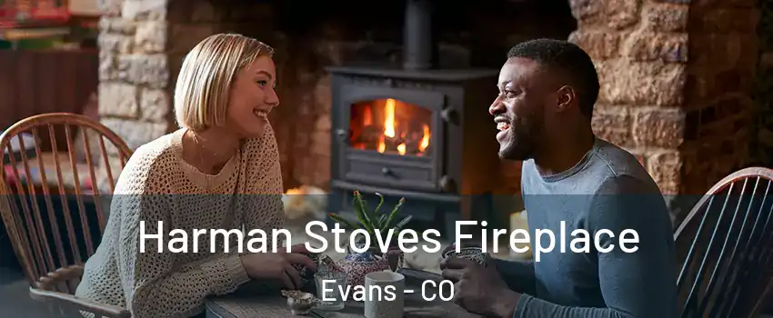  Harman Stoves Fireplace Evans - CO