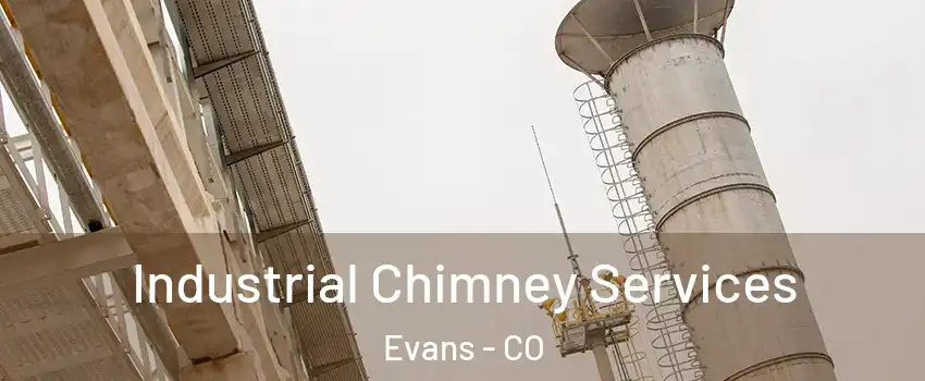  Industrial Chimney Services Evans - CO