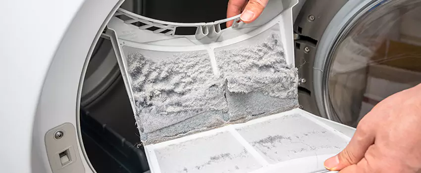 Best Dryer Lint Removal Company in Evans, Colorado
