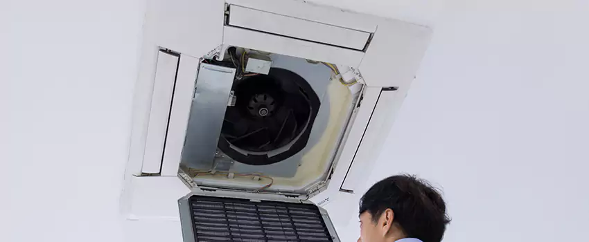 Benefits of Professional Air Duct Cleaning in Evans, Colorado